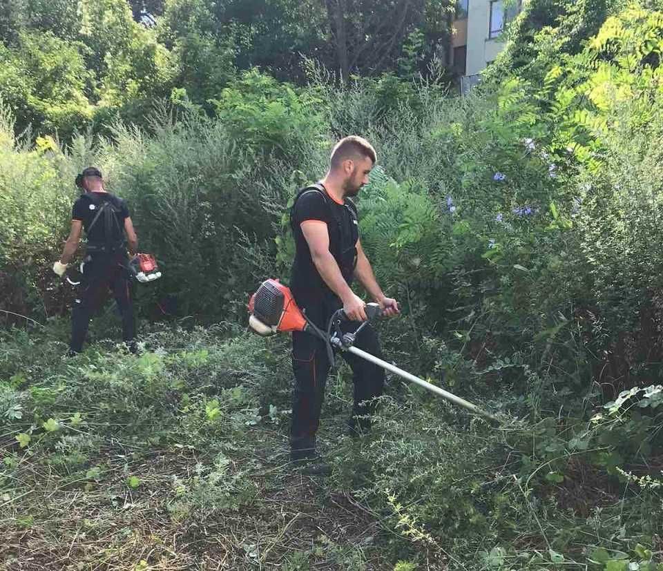 Косене на трева, разчистване и поддръжка на терени