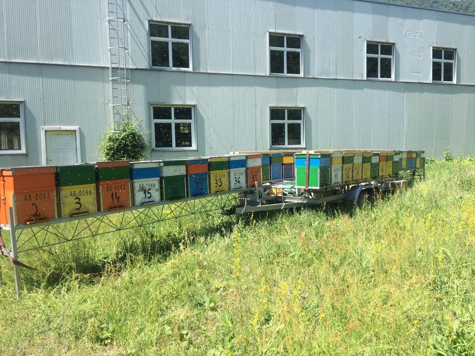 Modul Apicol / Rastel Apicol 36 Pozitii Transport Apicol