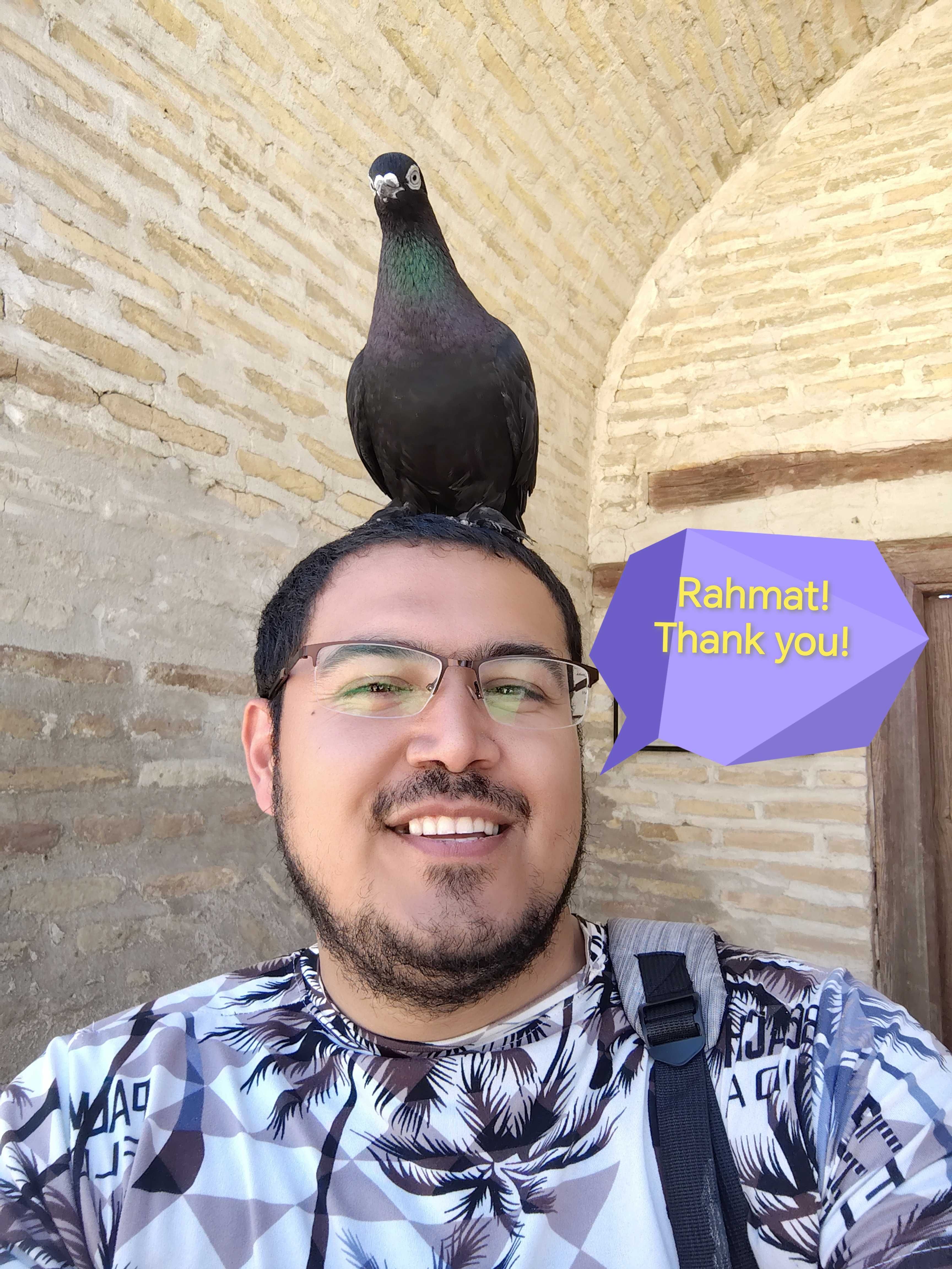 English Tour guide