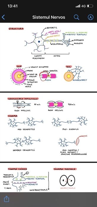 Meditații BAC Biologie