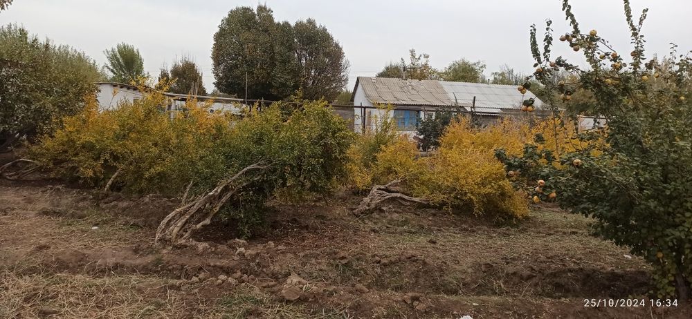 Boyovutda uy sotiladi