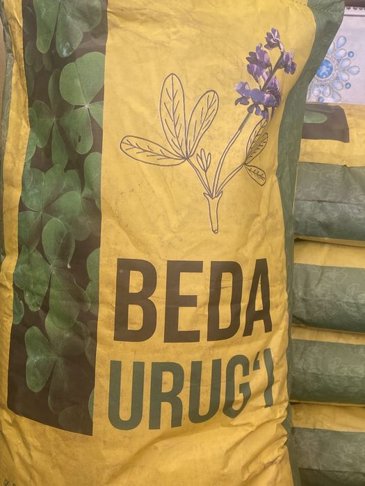 Beda urug’i OPTIM [ TOSHKENT N1]