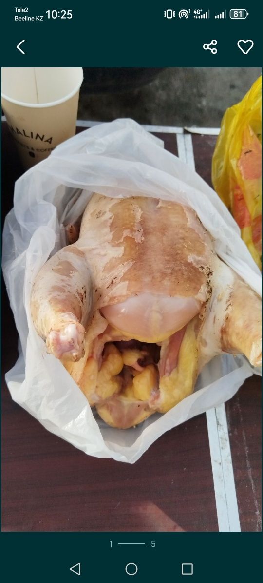 Мясо курей бройлеров