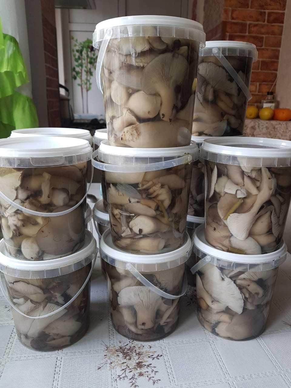 Маринованные грибы Вешенки.