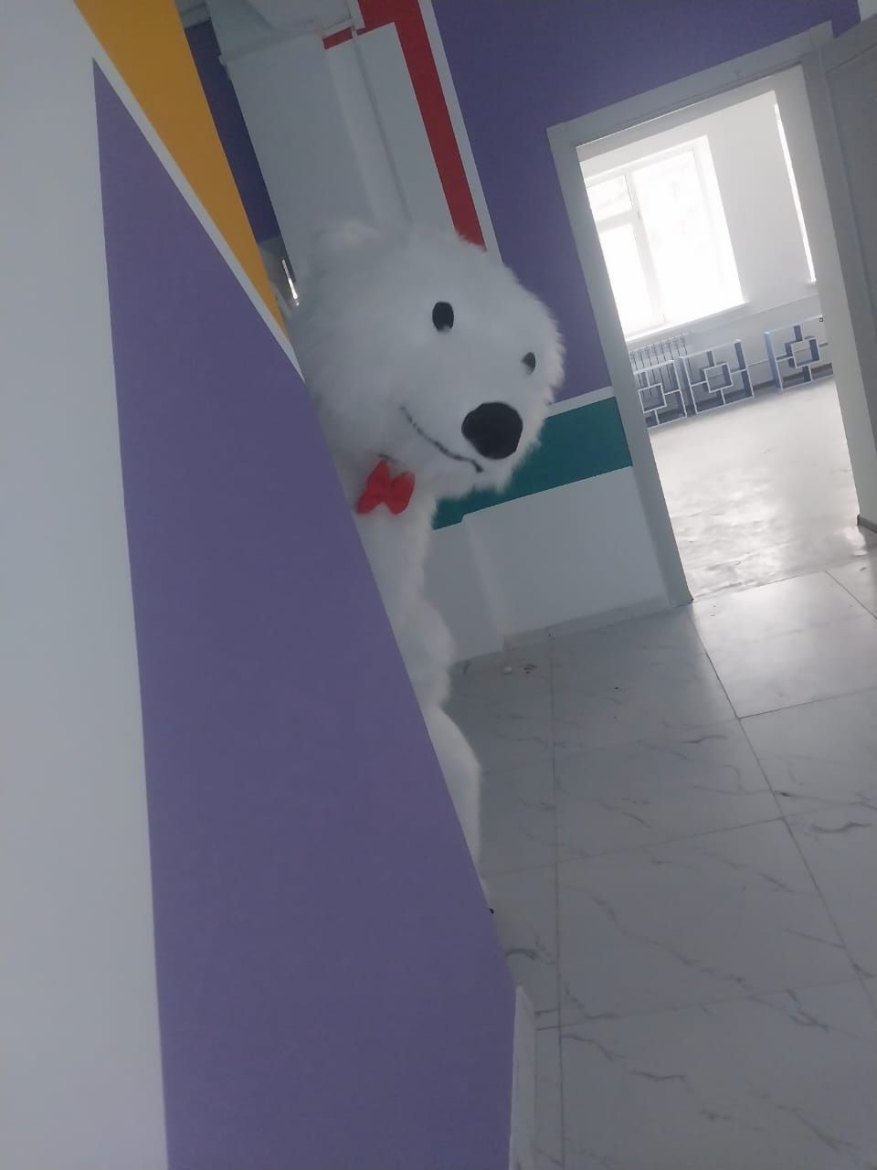 Белый мишка на ваши торжества!