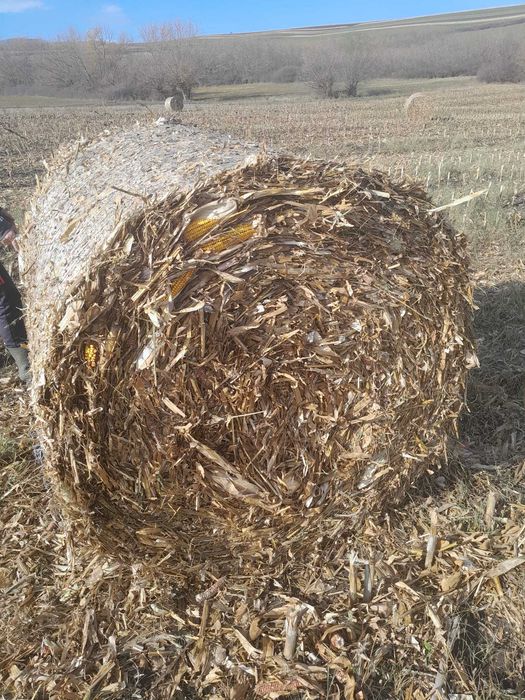 Baloți tocătură de porumb