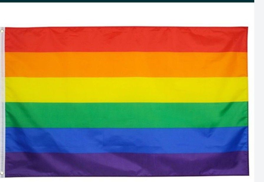 Steag LGBT 60*90 cm