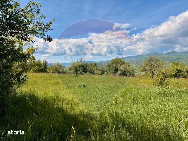 Teren 5,565mp Giulesti / Strada PRINCIPALA