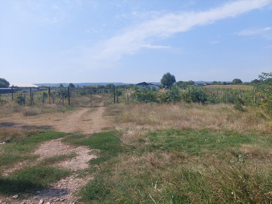 / DE VÂNZARE  / DE ÎNCHIRIAT  / Teren Intravilan  3707 Mp  / Oreavu  /
