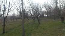 10 сотих ер, г. Ангрен