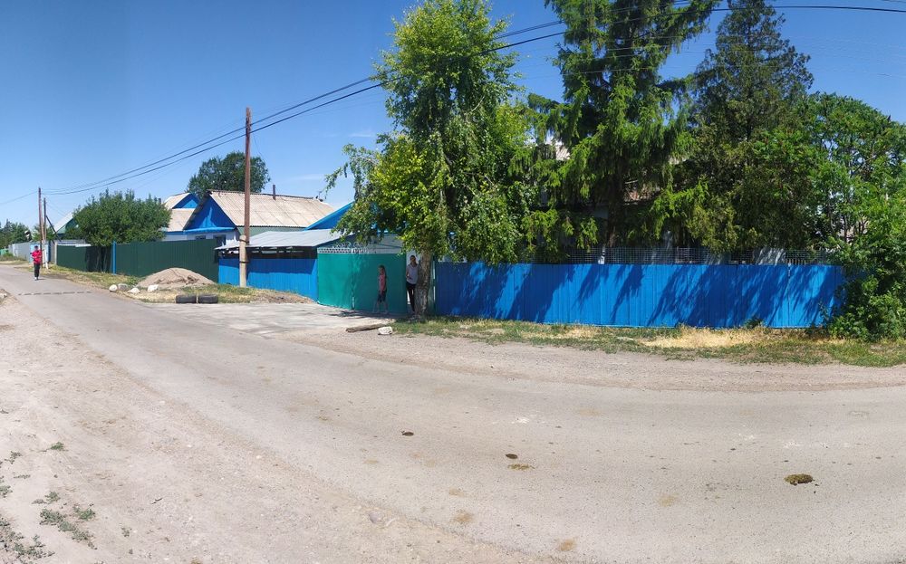 Продам 3 дома на одном участке 50 соток. На 2 семьи или 1 большую.