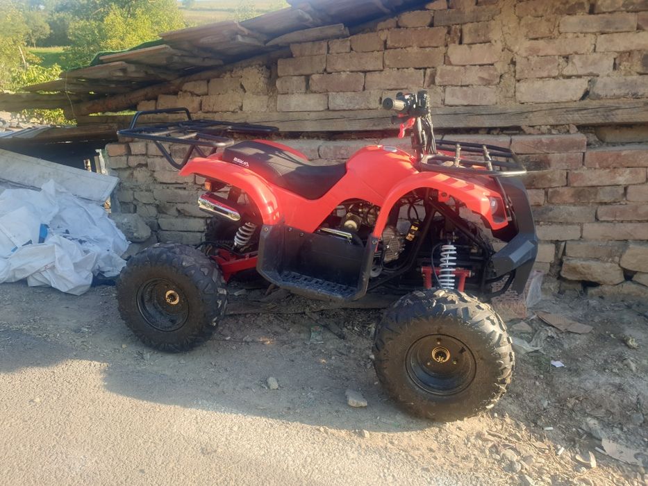 Vad atv 110cc nou in garantie