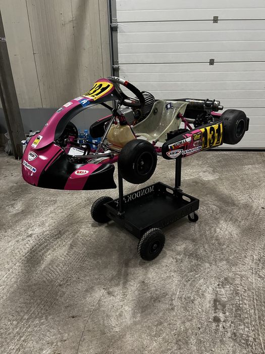 Kart complet pachet piese MINI – Parolin Opportunity - stare excelenta