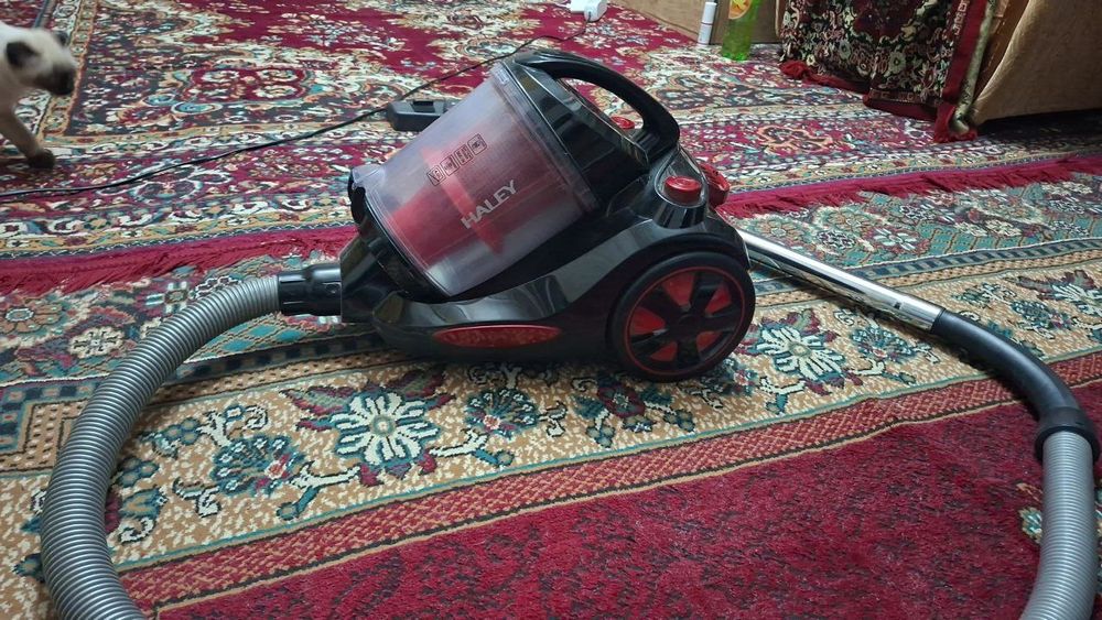 Plisos juda yaxsh xoladta