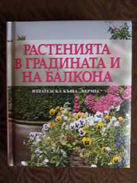 Растенията в градината и на балкона