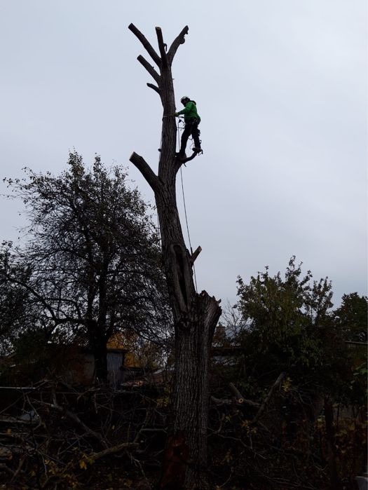 Alpinism utilitar Bucuresti
