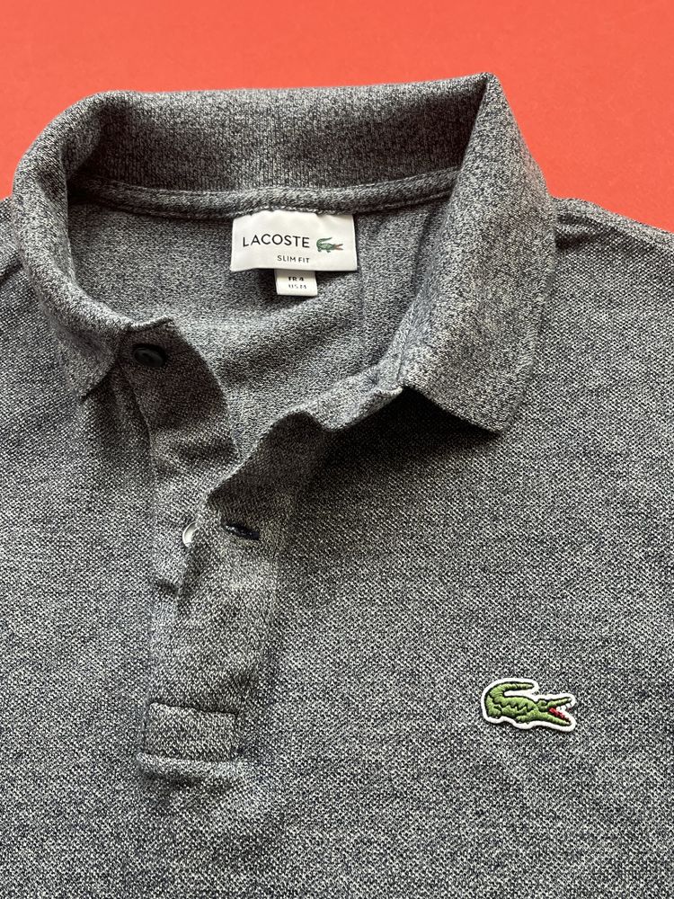 LACOSTE  : S / Оригинал