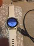 Часовник Garmin Felix 5 s