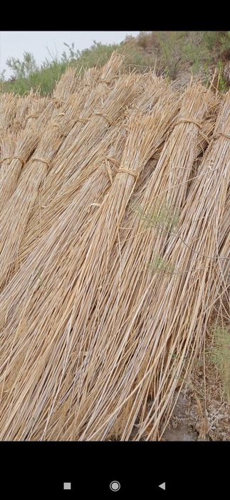 Qamish,Yekan,Qildir сотилади доставка текин