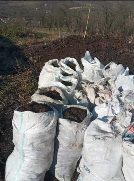 Gunoi de grajd la sac