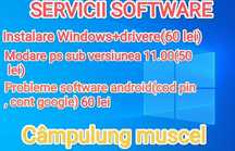 servicii software