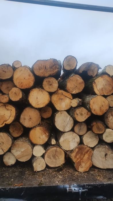 Vand lemne de foc carpen