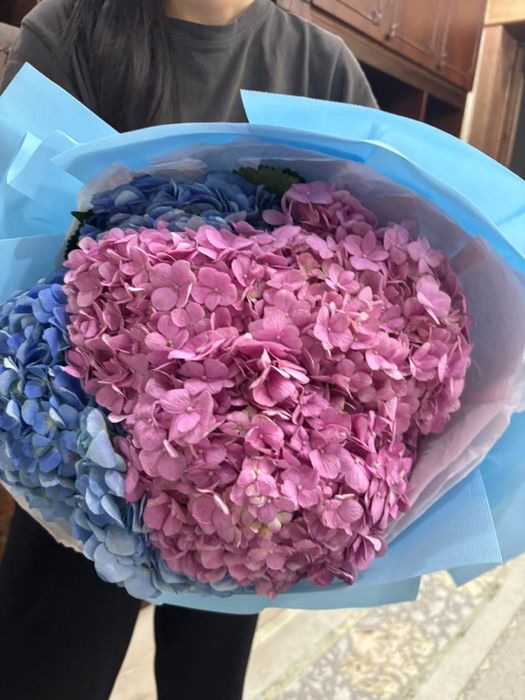 Гортензий букет шесть штук