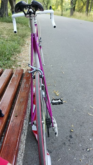 Road bike Giant Peloton size L ciclam colour turn heads