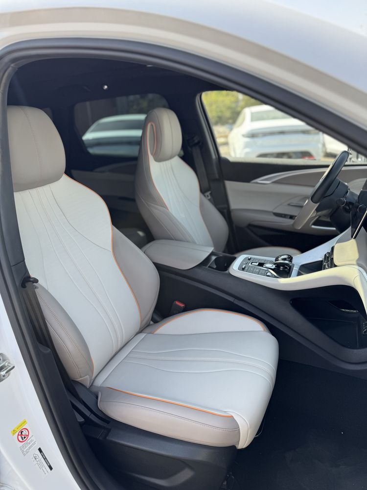 Byd song pro ideal 2024