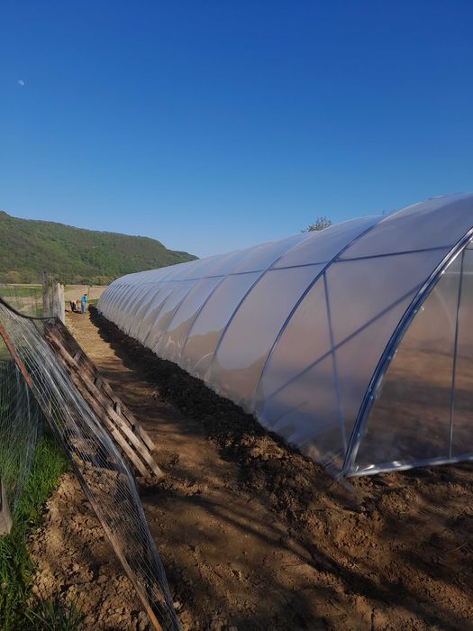 Solarii legume orice dimensiuni