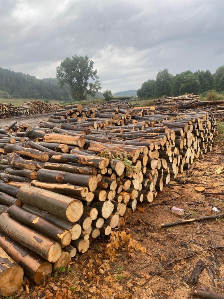 Sc Vinde  Lemn de foc esență tare cantitate mare