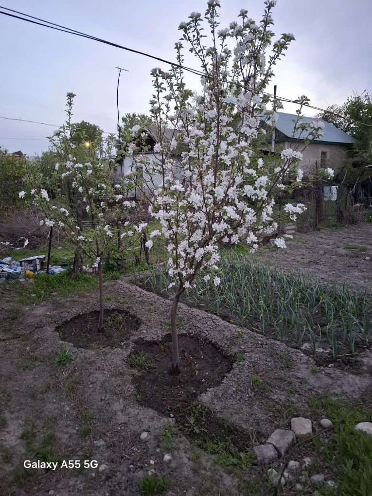 Продам полдома в центре