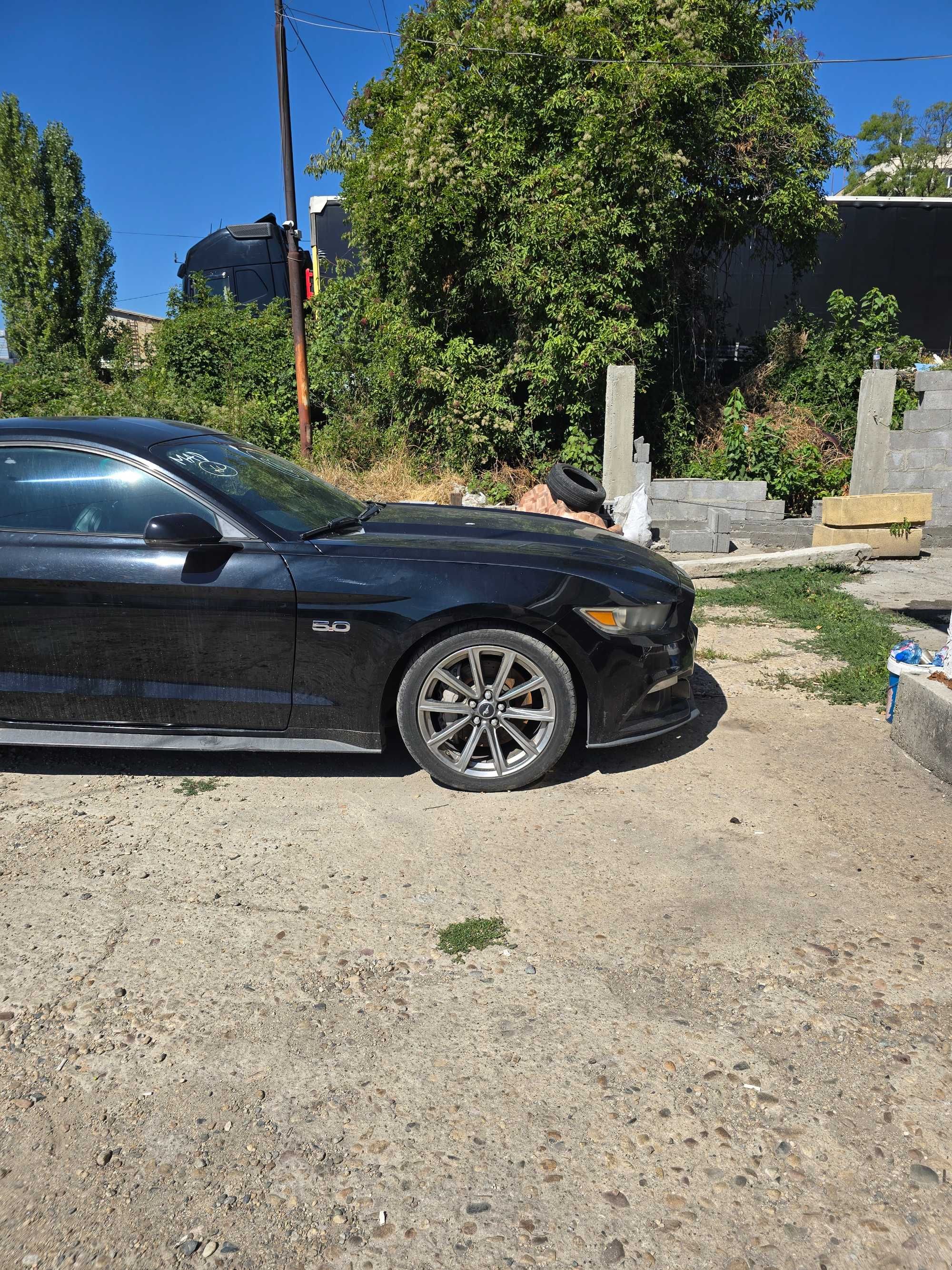 Ford Mustang 5.0 GT Premium