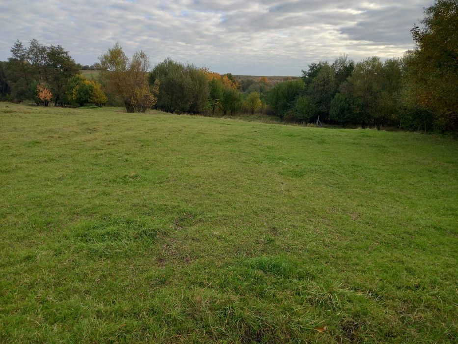 Teren 2900 mp – Spătărești, municipiul Fălticeni, județul Suceava
