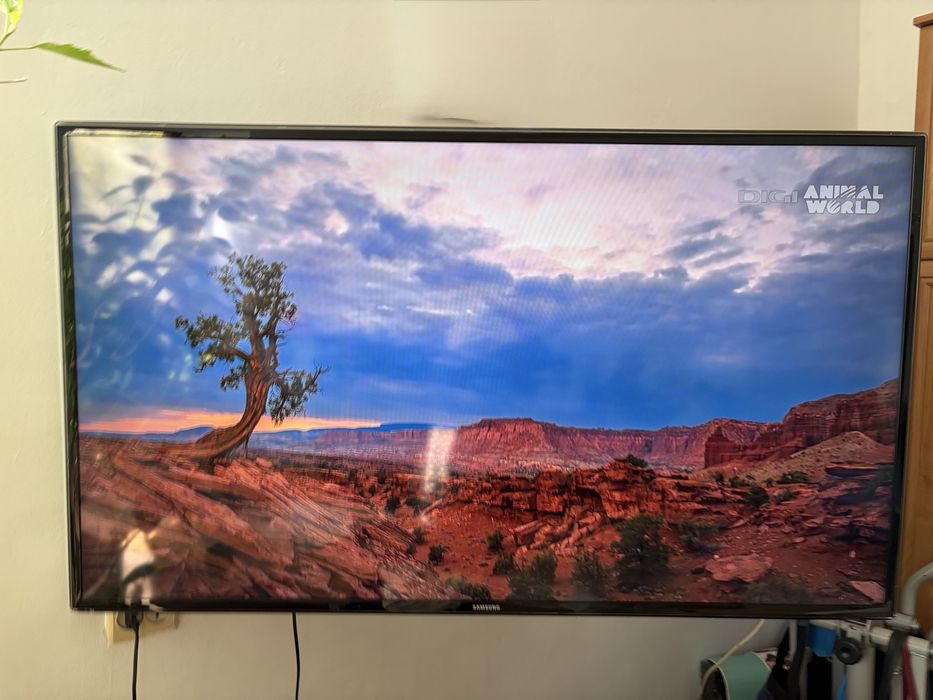 Smart TV Samsung Televizor