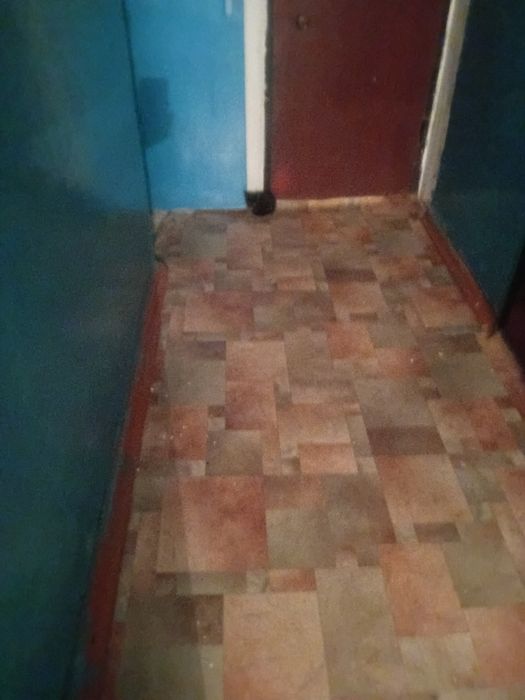Отдам котята в хорошие руки