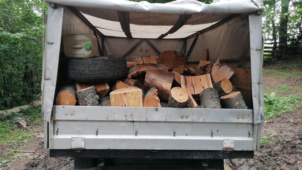 Lemne fag  300lei mster