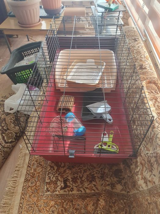 Большая клетка для домашнего питомца с принадлежностями