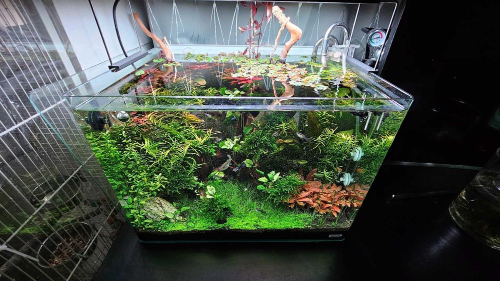 Acvariu 70L utilat, filtru, lampa Chihiros