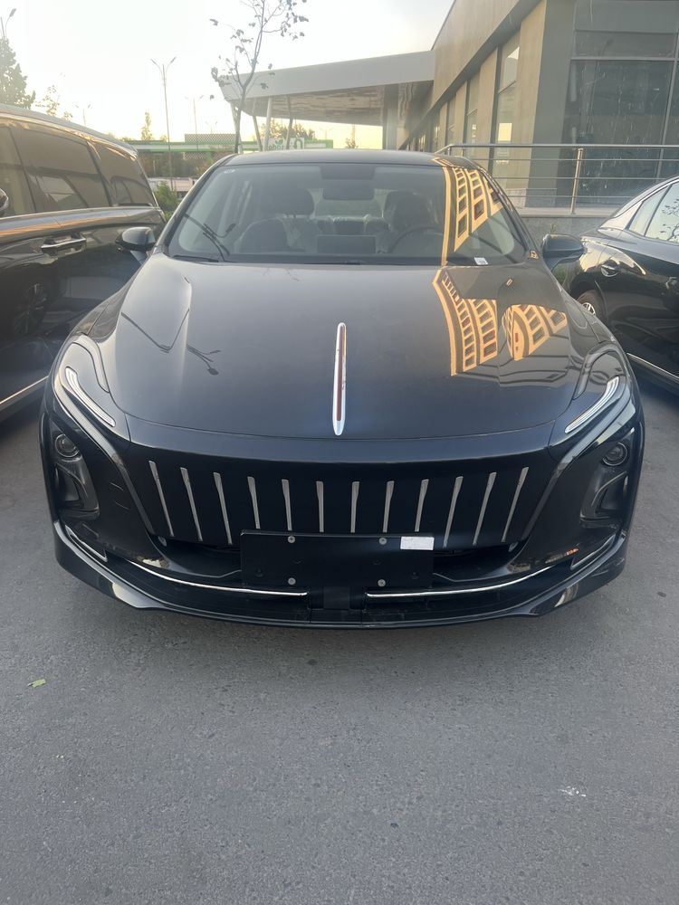 Hongqi eqm 5 450 km 2024 notariusli