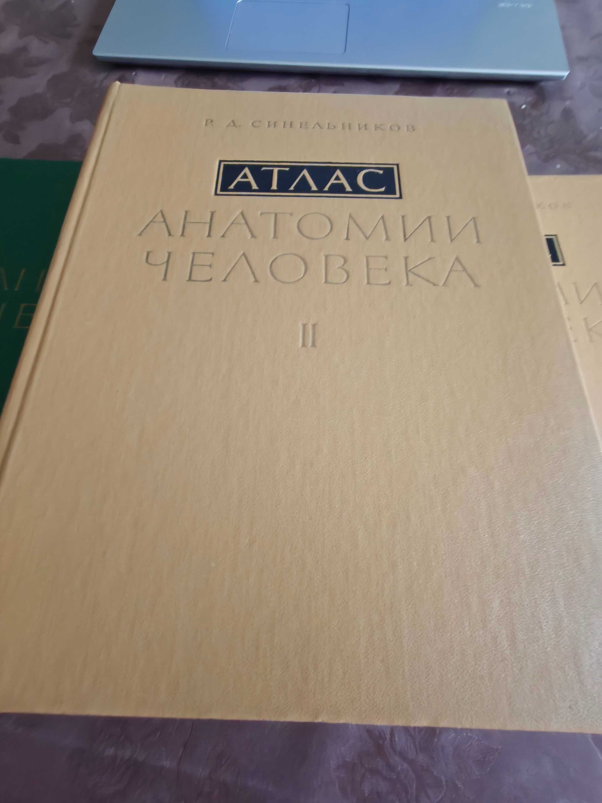 Атласи по анатомия на човека Синелников