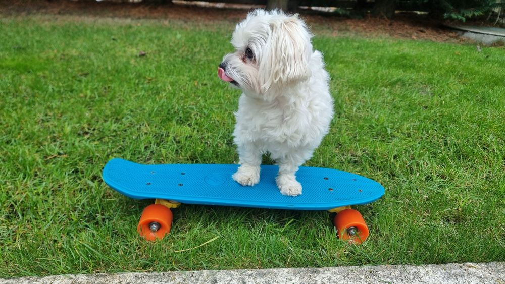 Pennyboard Decathlon