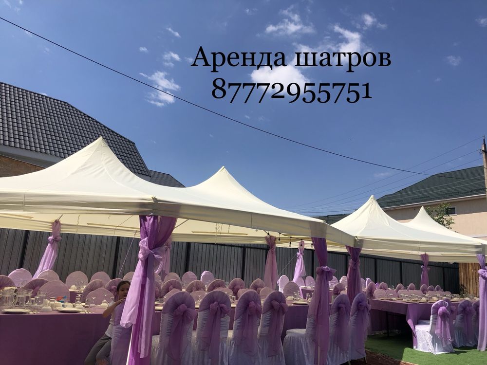 Аренда столов .стульев ,посуды ,шатров