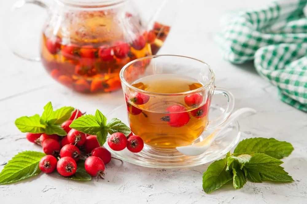Ghinde de stejar castane comestibile si salbatice fructe maces paducel