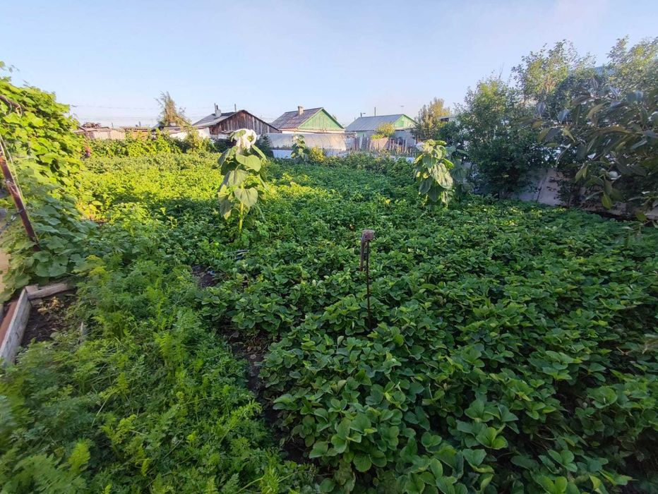 Срочно Продаю дом п. Топар, ул. Отан 29