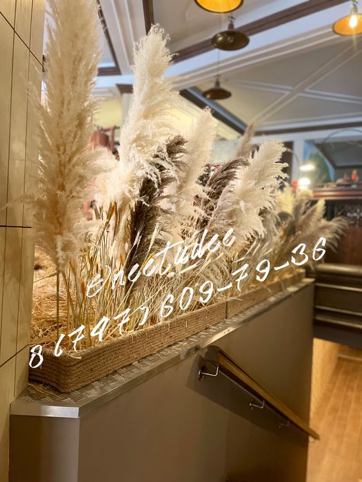 Кашпо из сухоцветов озеленение помещений цветочные стены