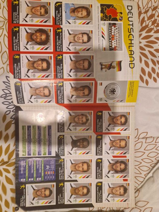 Panini албум 2006