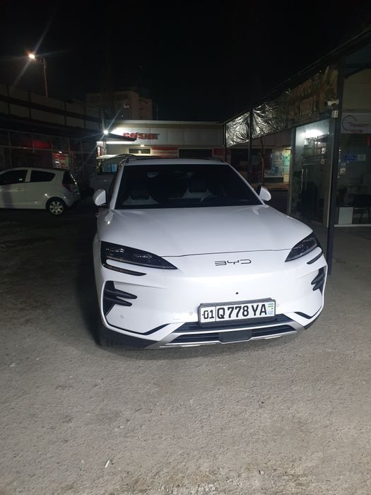 BVD chempion flekship