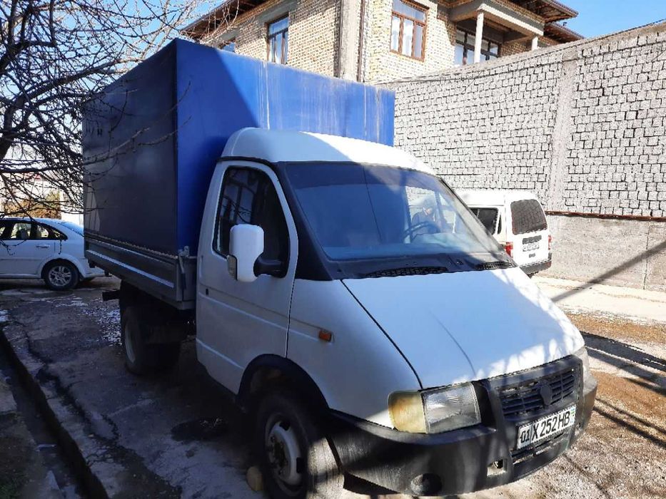 Газель яхши ҳолатда