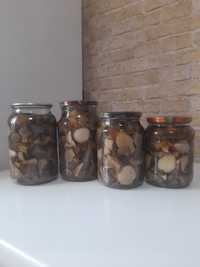 Продам грибы (соленные, маринованые)